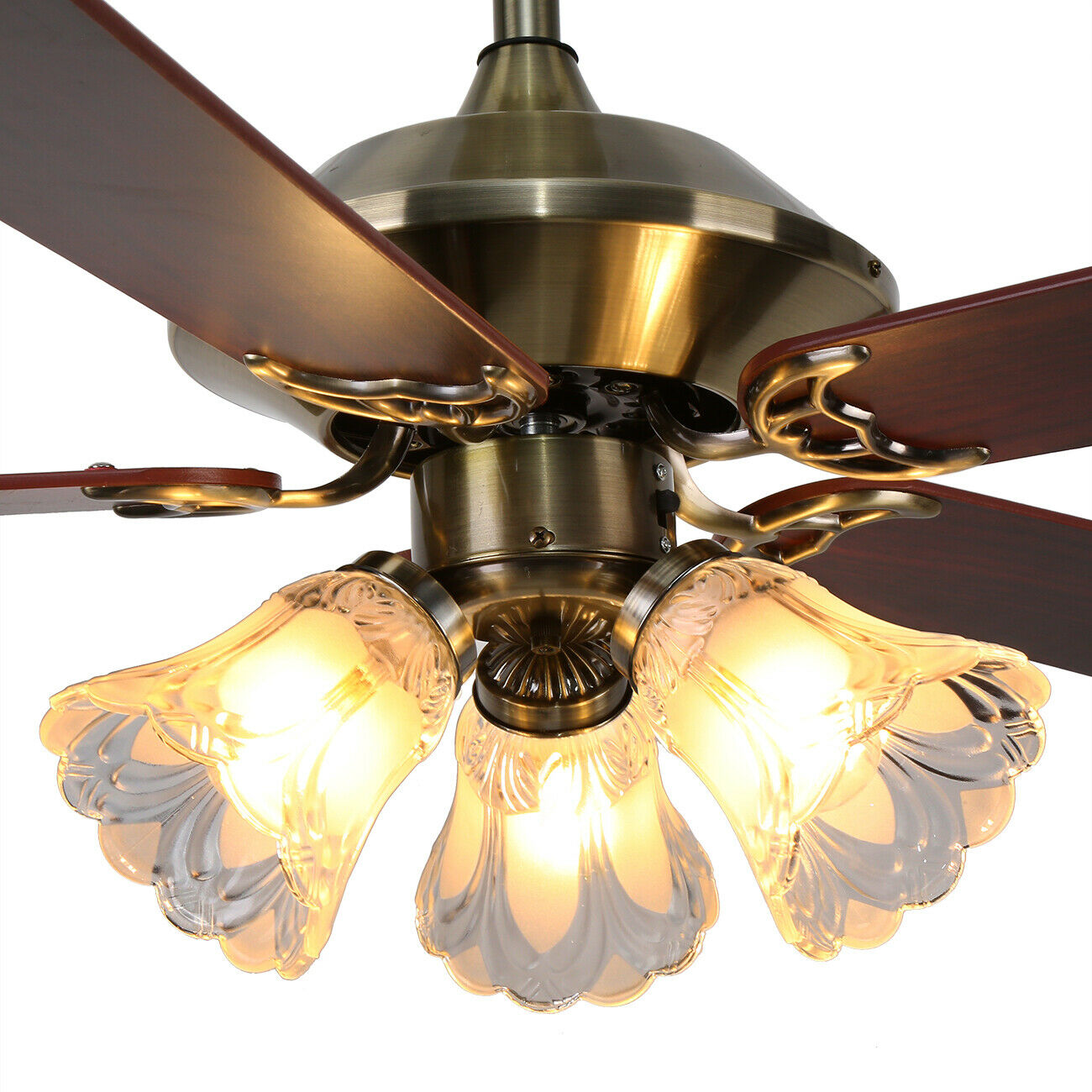 Ceiling Fan lamp with Lighting