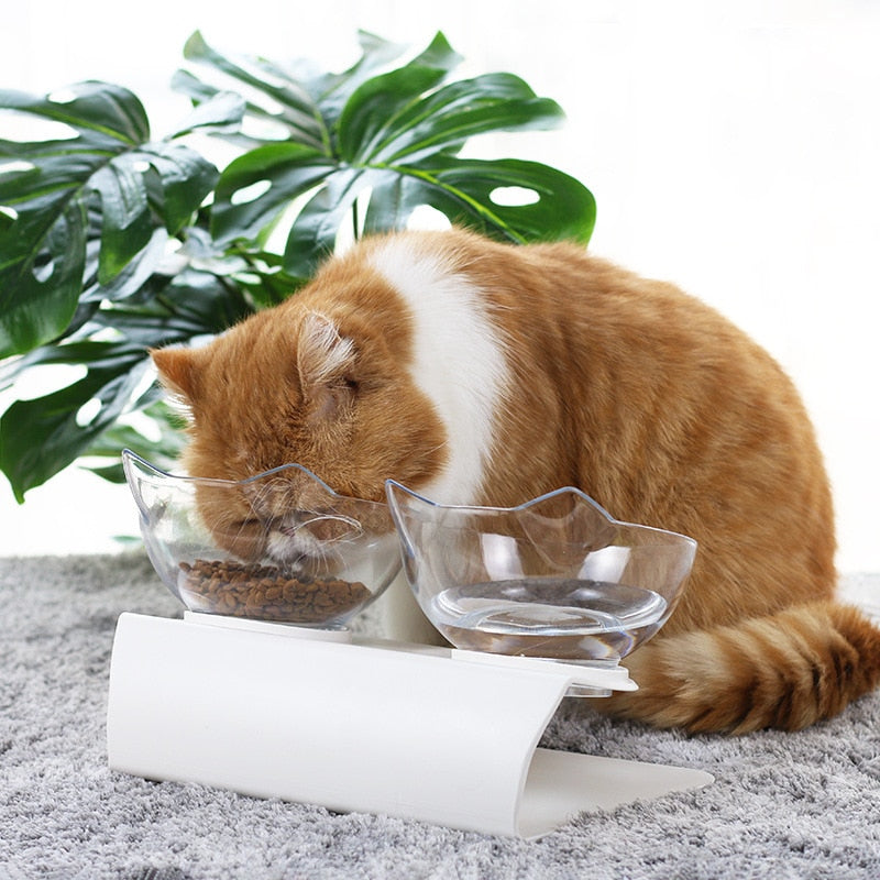 Pet Drinking Dish Feeder