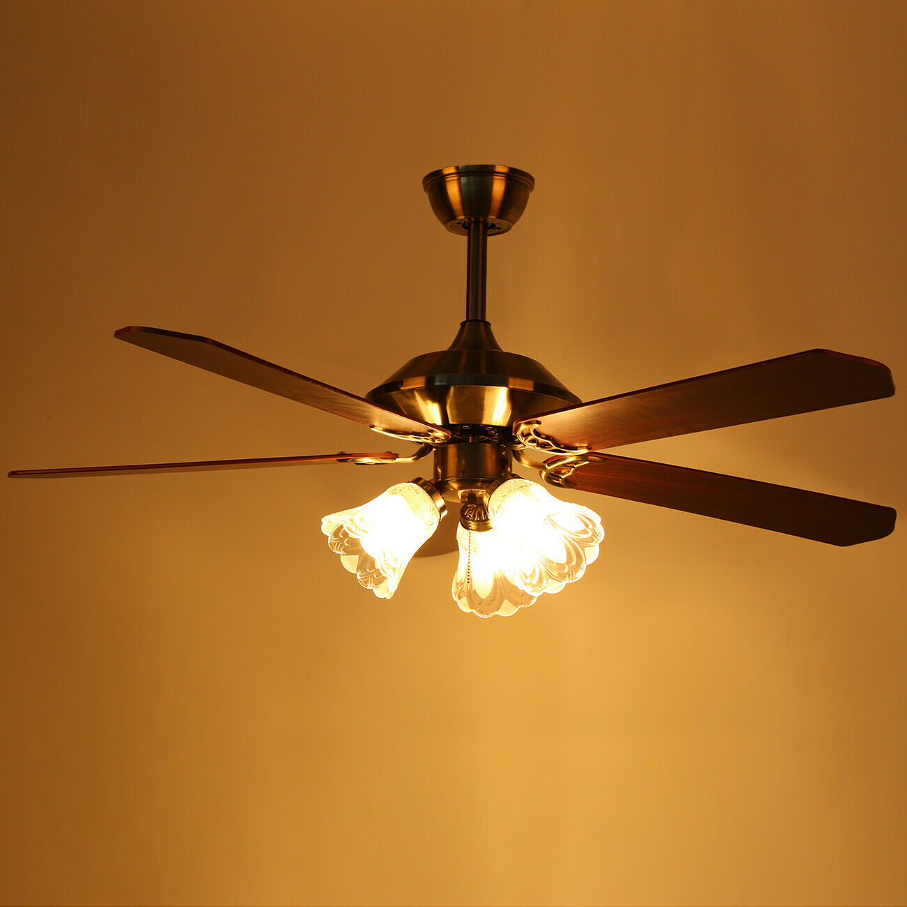 Ceiling Fan lamp with Lighting