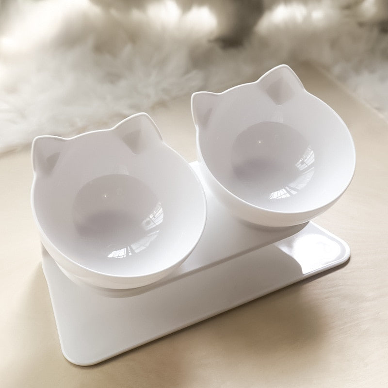 Pet Drinking Dish Feeder