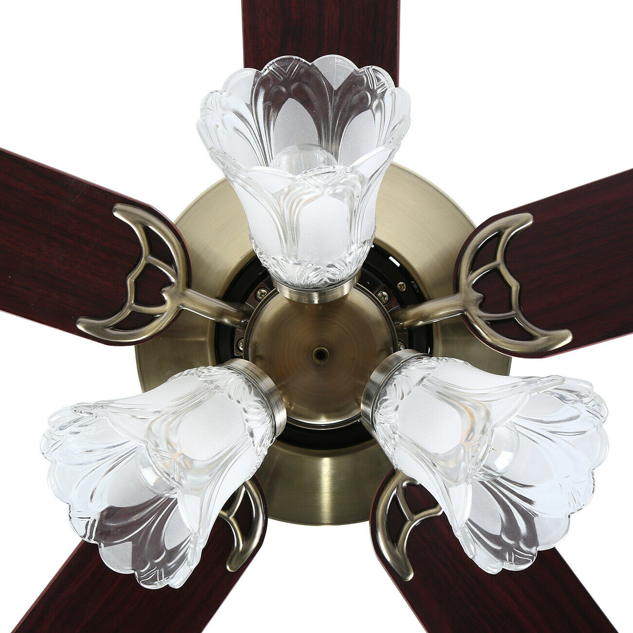 Ceiling Fan lamp with Lighting