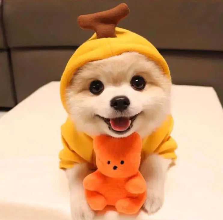 Cute Fruit PET Hoodie