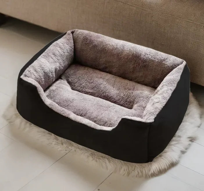 All-in-One Cat and Dog Bed