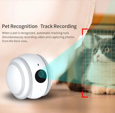 PetPal Interactive Robot – Your Cat's Ultimate Companion and Monitor