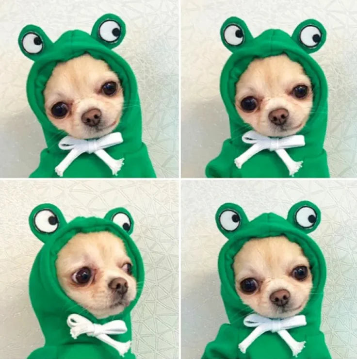 Cute Fruit PET Hoodie