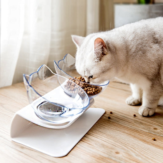 Pet Drinking Dish Feeder