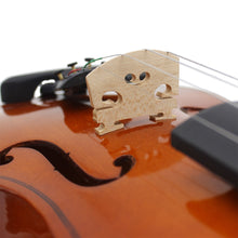 Load image into Gallery viewer, Acoustic Violin with Case for Beginners 1/8,1/4,3/4,4/4
